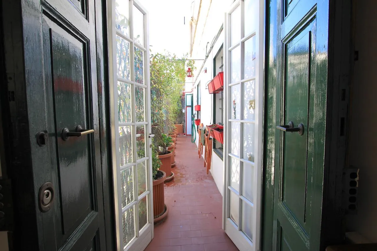 Apartamento Mellini Navona River Roma Italia